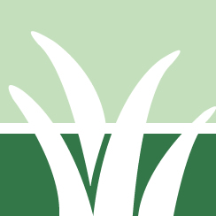 Buzz Lawn Mowing Service