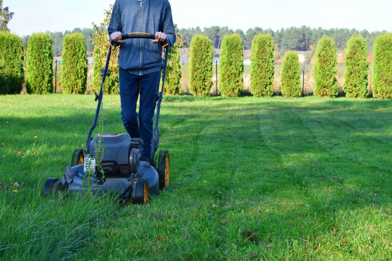 Lawn Mowing Service