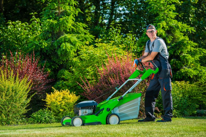 Lawn Mowing Service