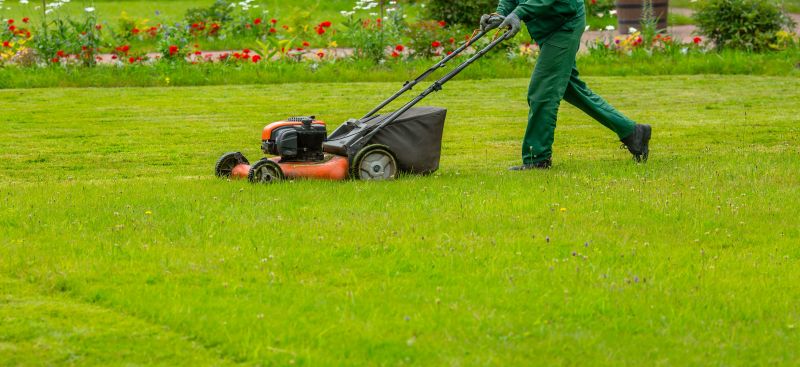Lawn Mowing Service