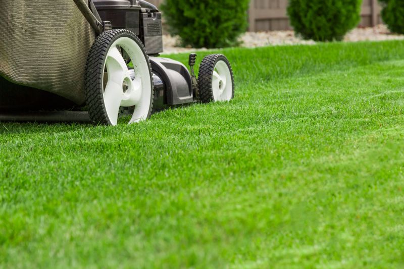 Budget-Friendly Lawn Mowing Service Rates