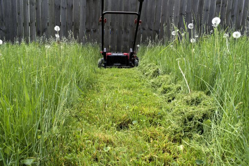 Budget-Friendly Lawn Mowing Service Rates