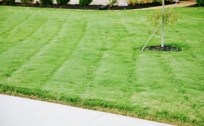 Budget-Friendly Lawn Mowing Service Rates
