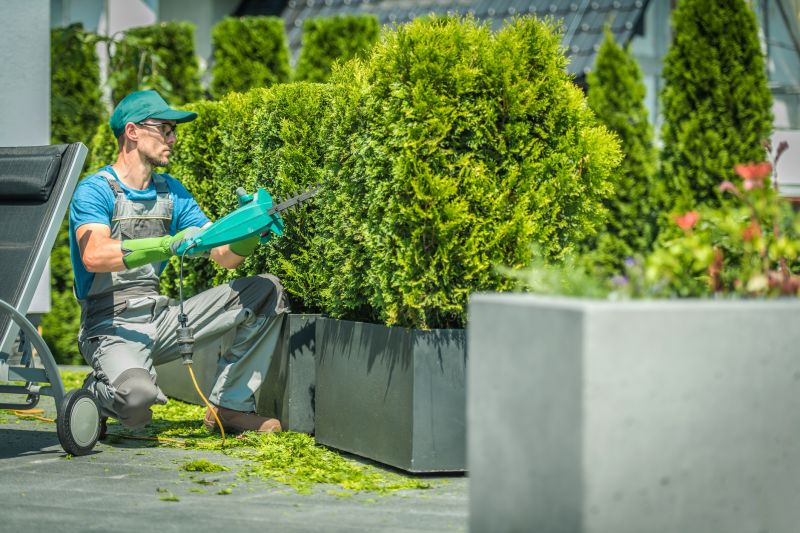 Budget-Friendly Lawn Mowing Service Rates