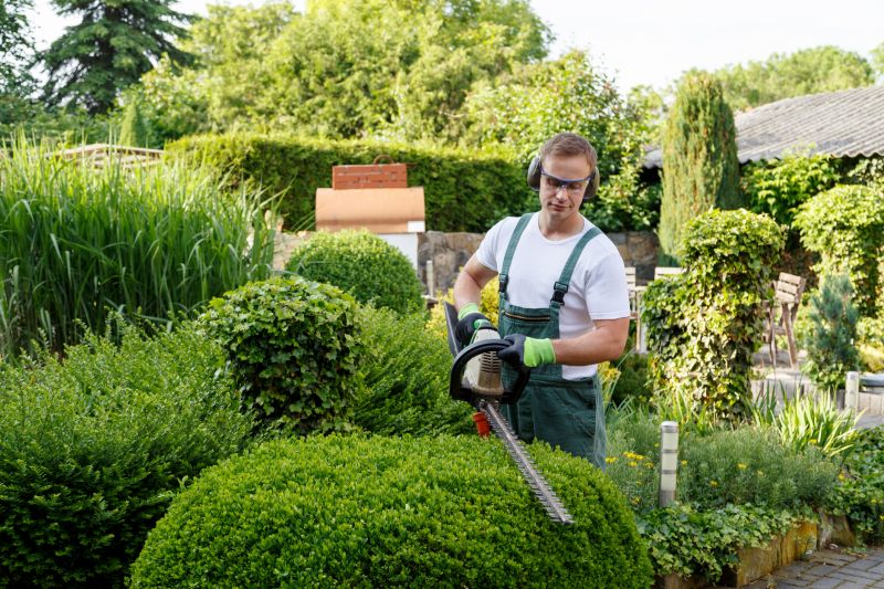 Budget-Friendly Lawn Mowing Service Rates