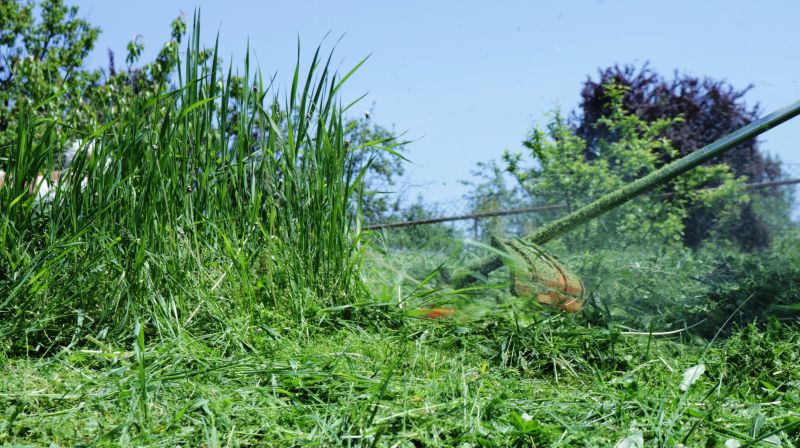 Budget-Friendly Lawn Mowing Service Rates