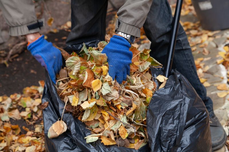 Removing Leaves from a Garden Bed