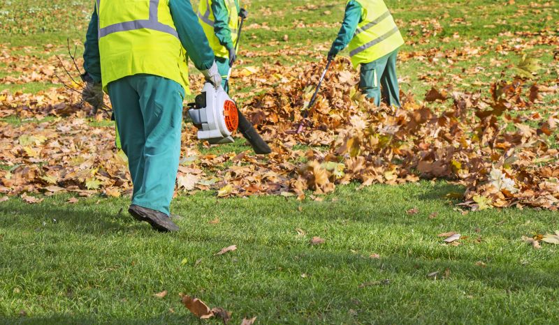 Team Performing Leaf Cleanup