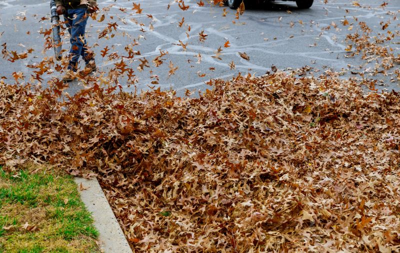A Professional Clearing a Lawn of Leaves