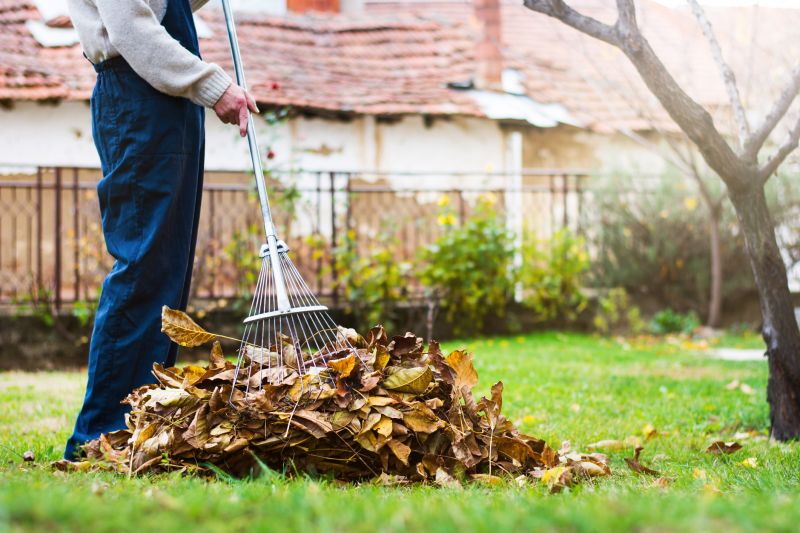 Tools for Fall Lawn Maintenance