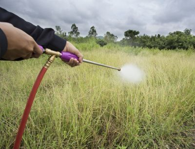 Lawn Weed Spraying in Ventura County, CA