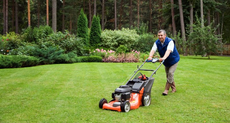 Products For Lawn Mowing Service in use