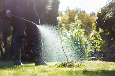 Weed Spraying Service!