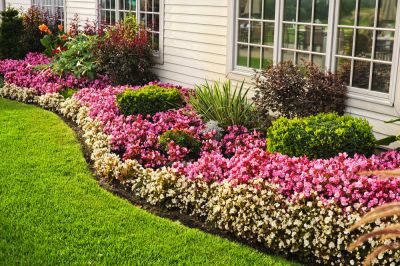 Edging Gives a Sharp Look