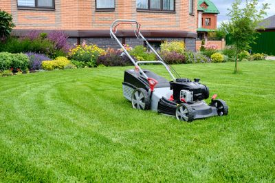 Cutting the Grass!