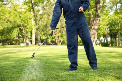 Pest Control Service!