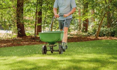 Fertilization Service!