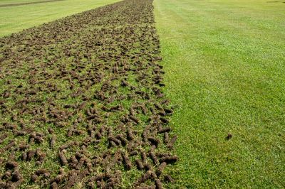 Aeration Service!