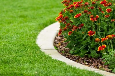 Edging and Trimming!