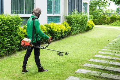 Trimming Small Areas
