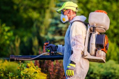 Pest Control Service!