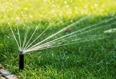 Lawn Watering Service!