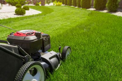 Lawn Mowing Service!