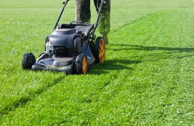 Get Your Grass Cut.