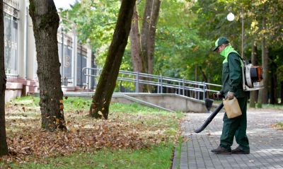 Leaf Removal Service!